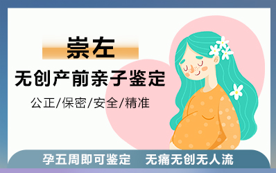 崇左无创产前亲子鉴定